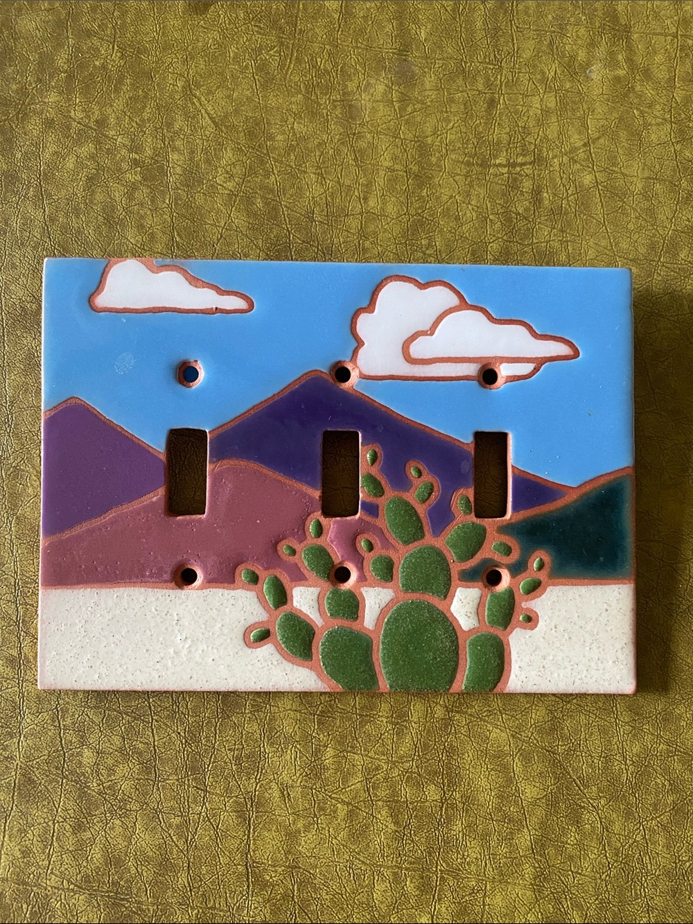 Terracotta glaze Desert Cactus 🌵 Triple Toggle Light Switch Cover NWOT